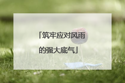 筑牢应对风雨的强大底气