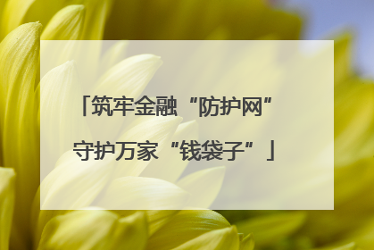 筑牢金融“防护网” 守护万家“钱袋子”