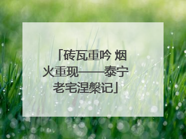 砖瓦重吟 烟火重现——泰宁老宅涅槃记