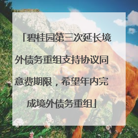 碧桂园第三次延长境外债务重组支持协议同意费期限，希望年内完成境外债务重组