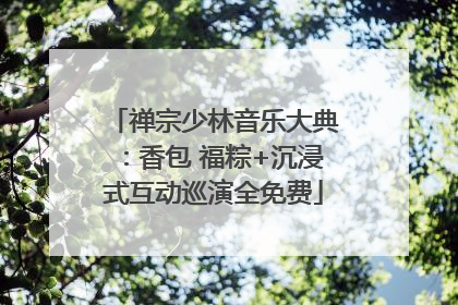 禅宗少林音乐大典：香包 福粽+沉浸式互动巡演全免费