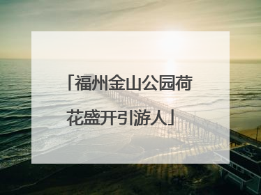 福州金山公园荷花盛开引游人
