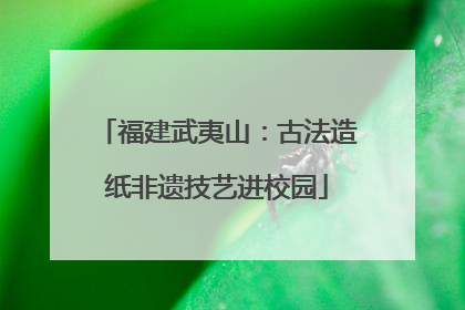 福建武夷山:古法造纸非遗技艺进校园