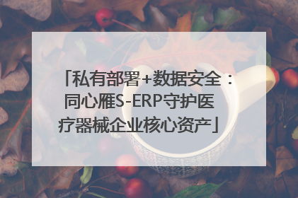 私有部署+数据安全：同心雁S-ERP守护医疗器械企业核心资产