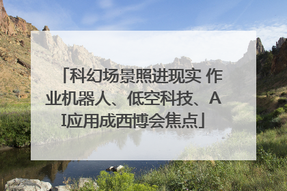 科幻场景照进现实 作业机器人、低空科技、AI应用成西博会焦点