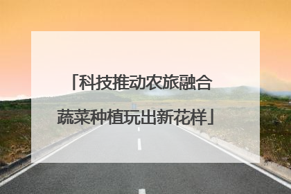 科技推动农旅融合 蔬菜种植玩出新花样