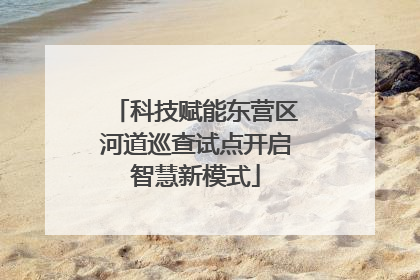 科技赋能东营区河道巡查试点开启智慧新模式