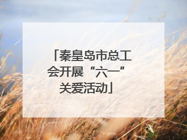 秦皇岛市总工会开展“六一”关爱活动