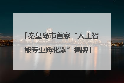 秦皇岛市首家“人工智能专业孵化器”揭牌