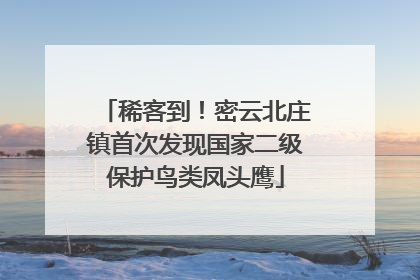 稀客到！密云北庄镇首次发现国家二级保护鸟类凤头鹰