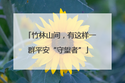 竹林山间，有这样一群平安“守望者”