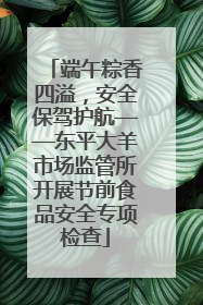 端午粽香四溢，安全保驾护航——东平大羊市场监管所开展节前食品安全专项检查