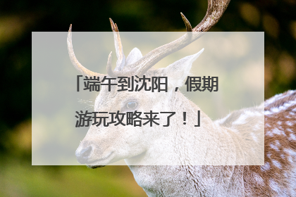 端午到沈阳，假期游玩攻略来了！