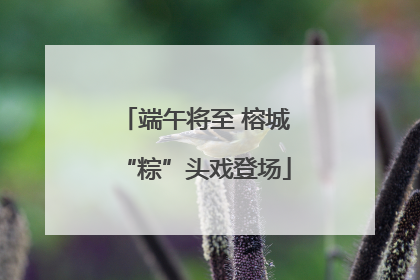端午将至 榕城“粽”头戏登场