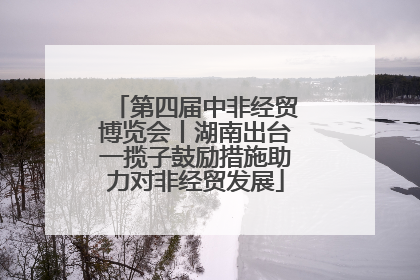 第四届中非经贸博览会丨湖南出台一揽子鼓励措施助力对非经贸发展