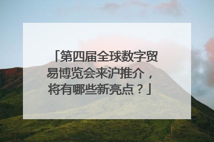 第四届全球数字贸易博览会来沪推介，将有哪些新亮点？