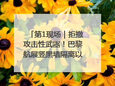 第1现场｜拒撤攻击性武器！巴黎航展竖黑墙隔离以色列四展台