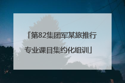 第82集团军某旅推行专业课目集约化组训