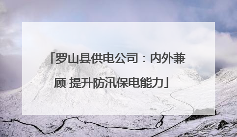 罗山县供电公司：内外兼顾 提升防汛保电能力