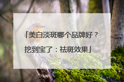 美白淡斑哪个品牌好？挖到宝了：祛斑效果