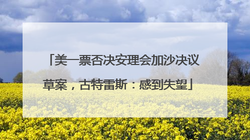 美一票否决安理会加沙决议草案，古特雷斯：感到失望