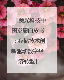 美光科技中国发展白皮书：存储技术创新驱动数字经济转型