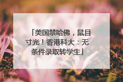 美国禁哈佛，鼠目寸光！香港科大：无条件录取转学生