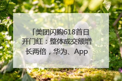 美团闪购618首日开门红：整体成交额增长两倍，华为、Apple、沃尔玛等近800个品牌翻倍增长