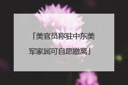 美官员称驻中东美军家属可自愿撤离