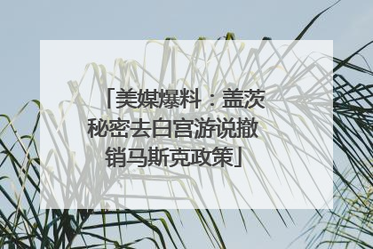 美媒爆料：盖茨秘密去白宫游说撤销马斯克政策