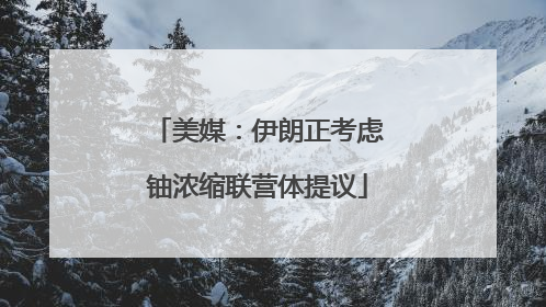 美媒：伊朗正考虑铀浓缩联营体提议