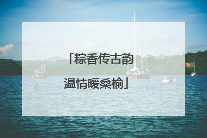 粽香传古韵 温情暖桑榆