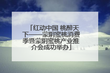 红动中国 桃醉天下——蒙阴蜜桃消费季暨蒙阴蜜桃产业推介会成功举办