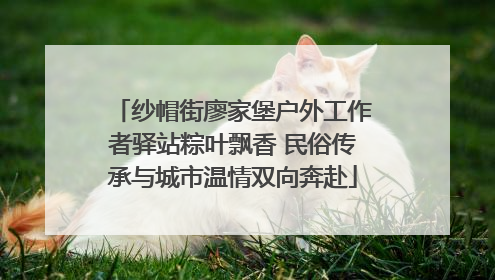 纱帽街廖家堡户外工作者驿站粽叶飘香 民俗传承与城市温情双向奔赴