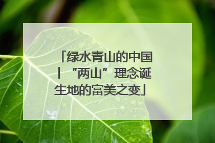 绿水青山的中国丨“两山”理念诞生地的富美之变