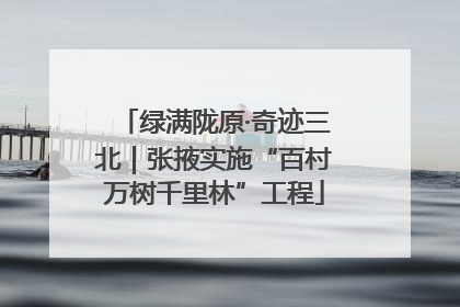 绿满陇原·奇迹三北｜张掖实施“百村万树千里林”工程