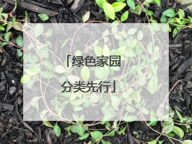绿色家园 分类先行