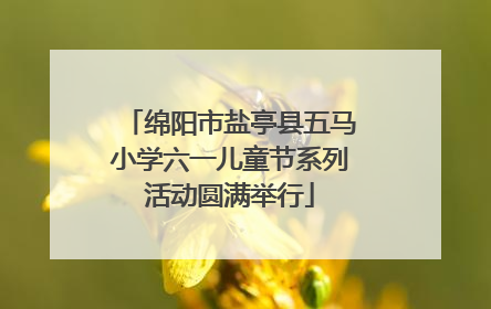 绵阳市盐亭县五马小学六一儿童节系列活动圆满举行