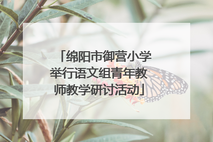 绵阳市御营小学举行语文组青年教师教学研讨活动