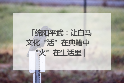 绵阳平武：让白马文化“活”在典籍中 “火”在生活里｜新闻发布最前线