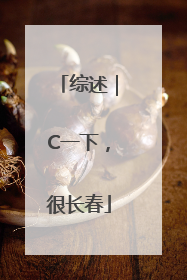 综述｜C一下，很长春