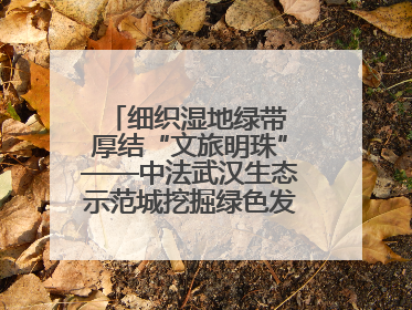 细织湿地绿带 厚结“文旅明珠”——中法武汉生态示范城挖掘绿色发展新动能