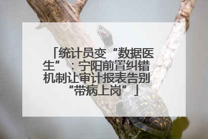 统计员变“数据医生”：宁阳前置纠错机制让审计报表告别“带病上岗”