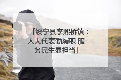 绥宁县李熙桥镇：人大代表勤履职 服务民生显担当