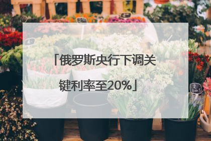 俄罗斯央行下调关键利率至20%
