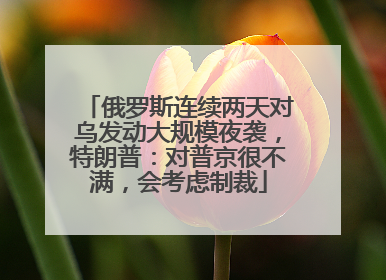 俄罗斯连续两天对乌发动大规模夜袭，特朗普：对普京很不满，会考虑制裁