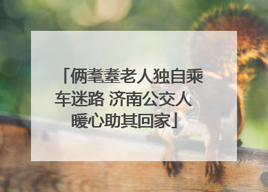 俩耄耋老人独自乘车迷路 济南公交人暖心助其回家
