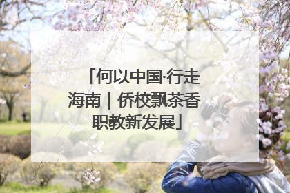 何以中国·行走海南｜侨校飘茶香 职教新发展