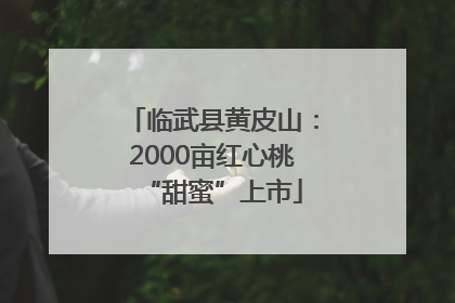 临武县黄皮山：2000亩红心桃“甜蜜”上市
