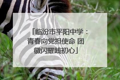 临汾市平阳中学：青春向党担使命 团徽闪耀践初心